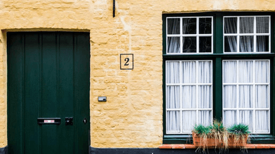 Bamboo - professional stock photography