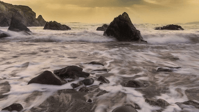 Bamboo - professional stock photography