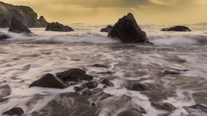 Bamboo - professional stock photography