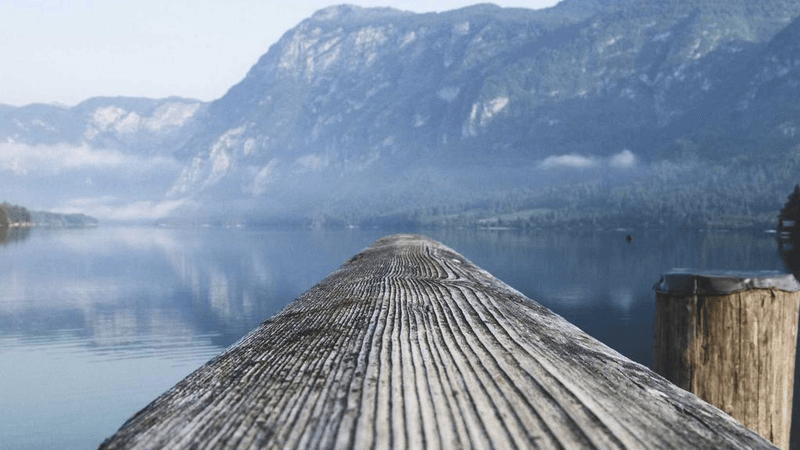 Compost - professional stock photography