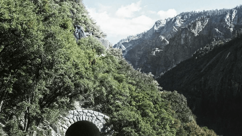 Compost - professional stock photography