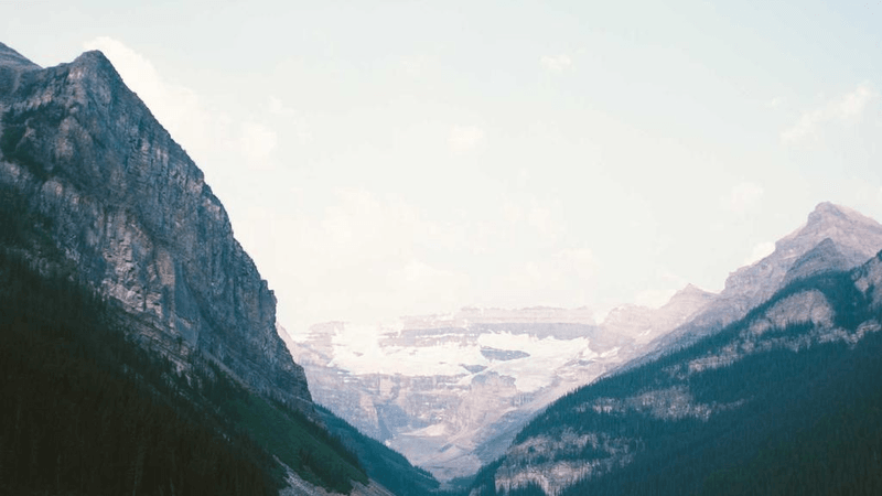 Conservation - professional stock photography