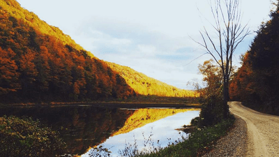 Conservation - professional stock photography