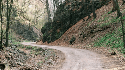 Conservation - professional stock photography