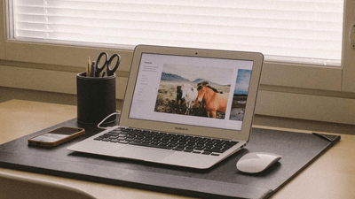 Earth - professional stock photography