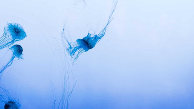 Earth - professional stock photography