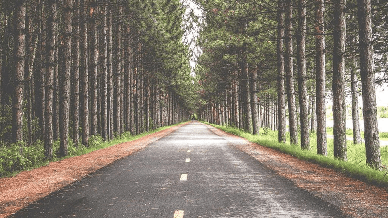 Electric Car - professional stock photography