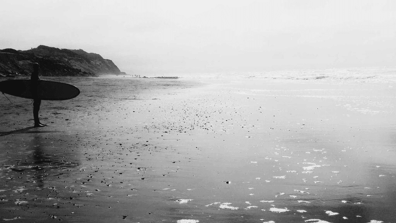 Garden - professional stock photography