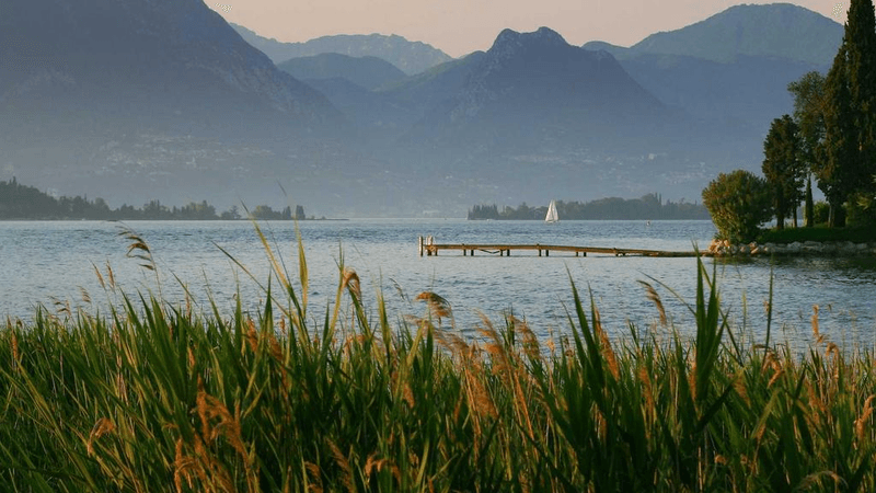 Green - professional stock photography