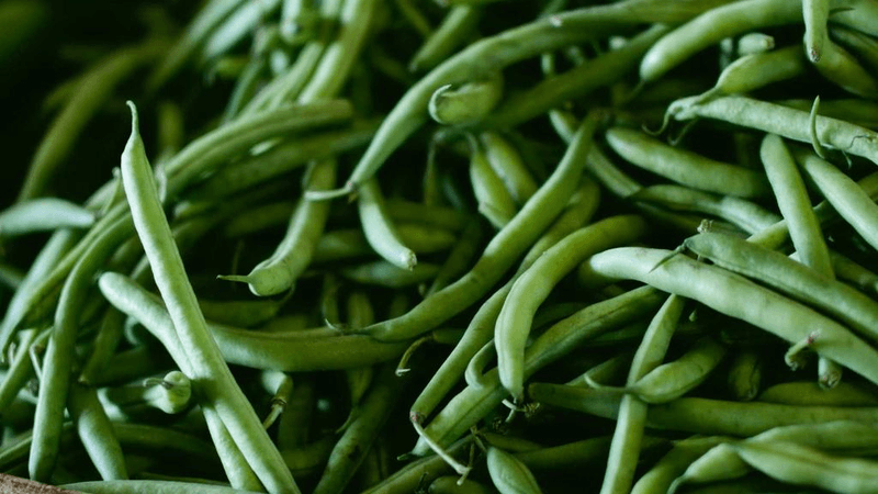 Organic - professional stock photography