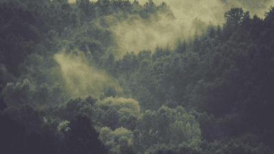 Organic - professional stock photography