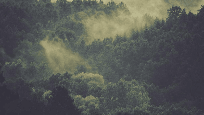 Organic - professional stock photography