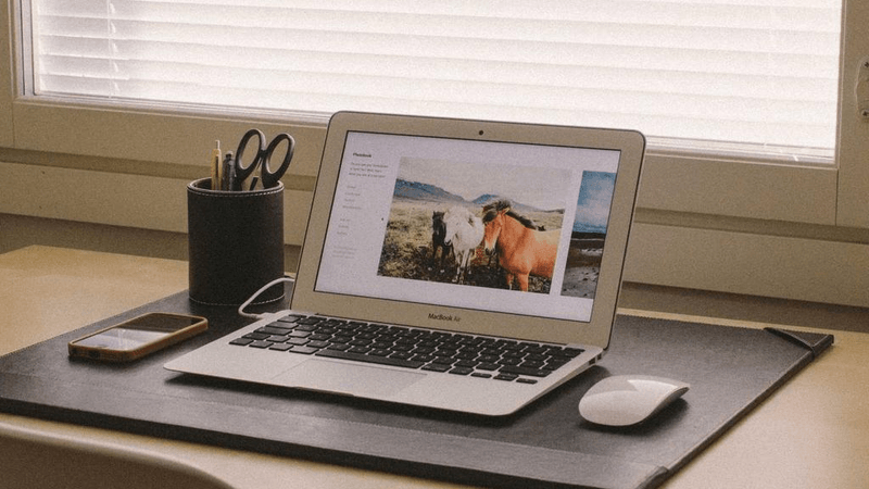 Rainwater - professional stock photography