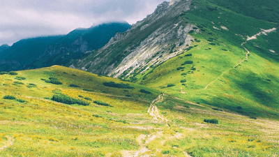 Reusable - professional stock photography