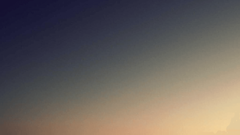 Tree - professional stock photography