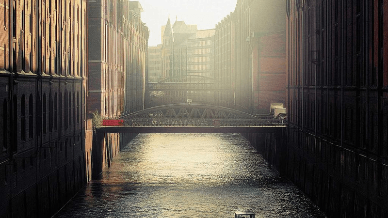 Tree - professional stock photography