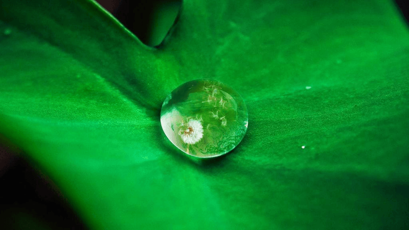 Wind - professional stock photography