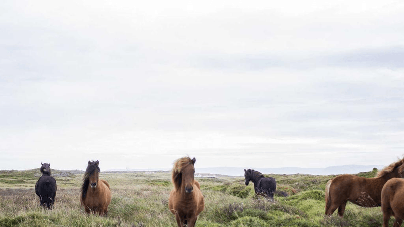 Wind - professional stock photography