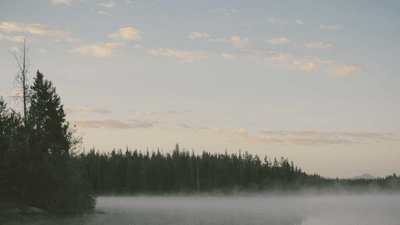 Wind - professional stock photography