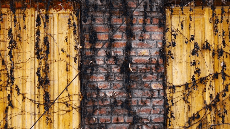 Wind - professional stock photography